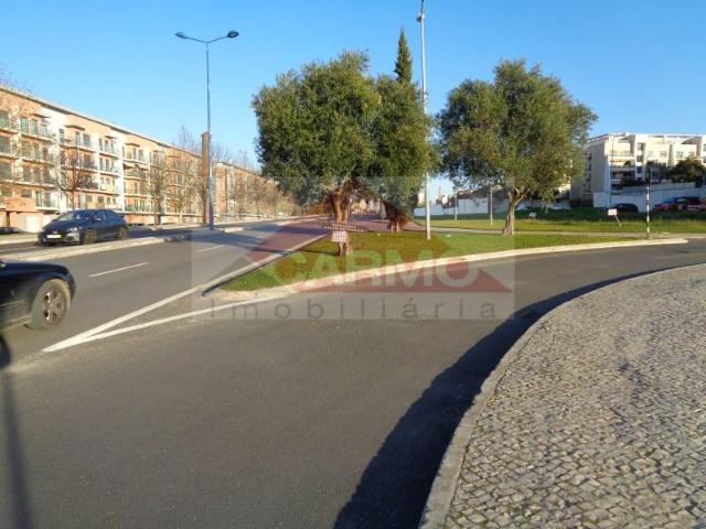 Montijo Montijo 99995452