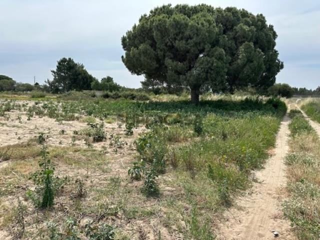 FAIAS MONTIJO QUINTA c/ 41.750m2