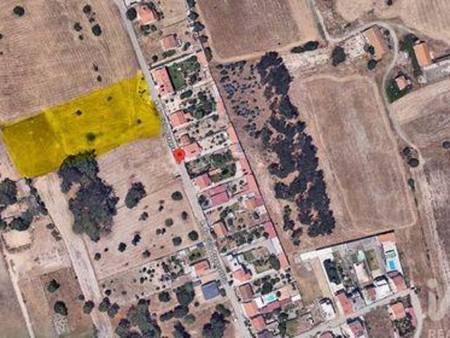 Montijo Setubal 103492649