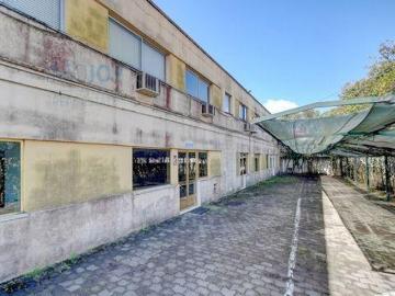 Atalaia e Alto Estanqueiro-Jardia, Montijo, Concelho de Benavente, Distrito de Santarém