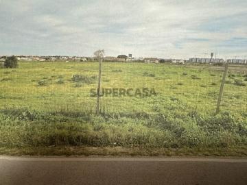 MONTIJO TERRENO C/ 8.800M2 JUNTO BELA COLÓNIA