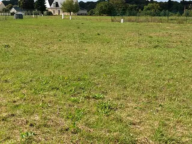 Montlouis sur Loire 37270 Programme neuf maison neuf à vendre 4 pièces