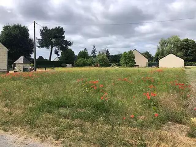 Montlouis sur Loire 37270 Programme neuf maison neuf à vendre 5 pièces