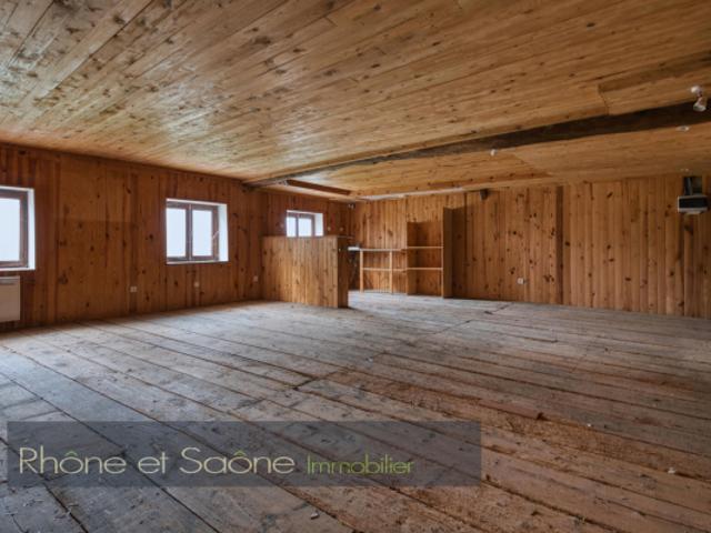 MONTMERLE SUR SAÔNE, appartement à vendre, 3 pièces, 60 m²