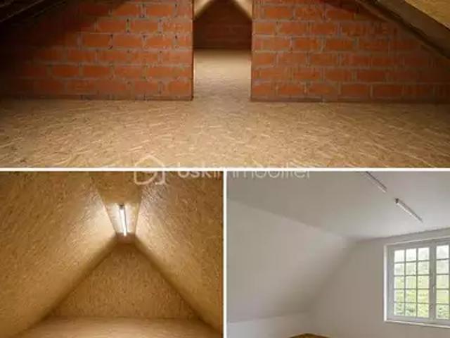 Montmirail 51210 Achat / Vente maison 9 pièces t9 terrasse cave