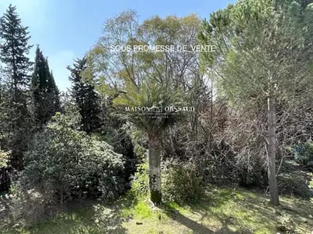 Montpellier 34000 Achat / Vente maison 7 pièces t7