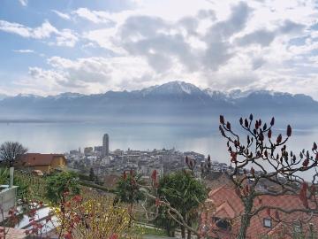 Chemin De La Boriodaz, Pertit, Gemeinde Montreux, Montreux, District de la Riviera-Pays-d’Enhaut, Kanton Freiburg