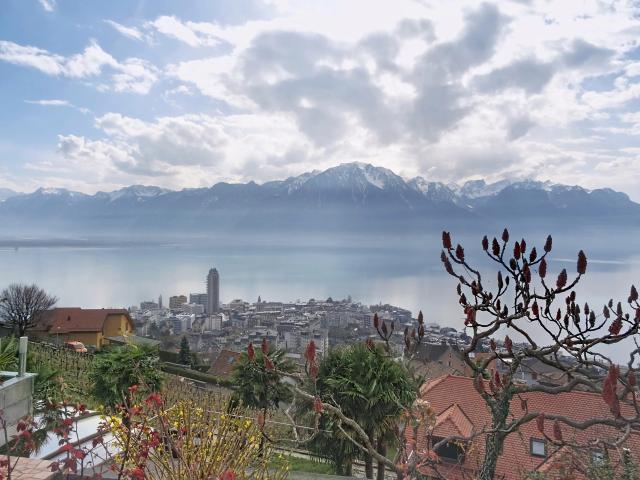 Montreux, Région de la Riviera Pays d'Enhaut, Canton de Vaud