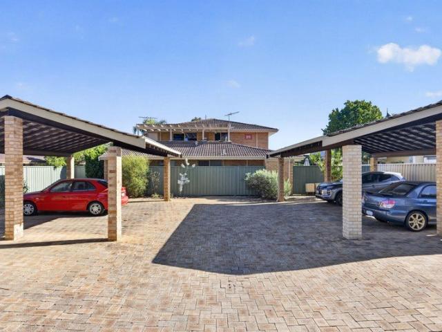 Monumental Floorplan in Maylands