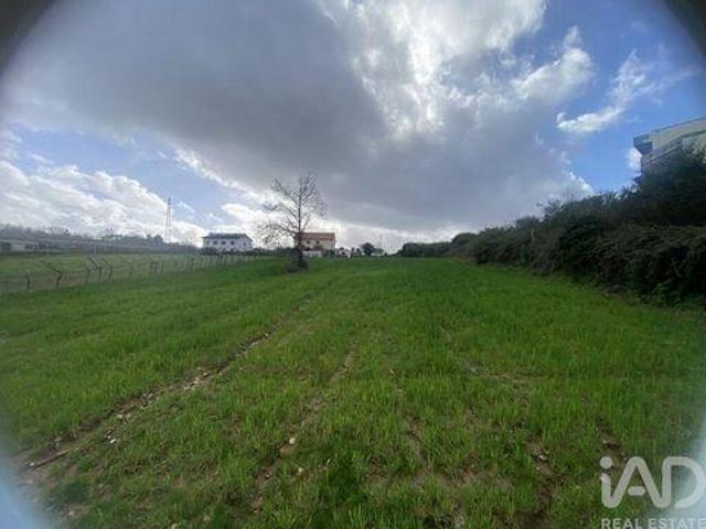 Moncao Viana Do Castelo 99986005