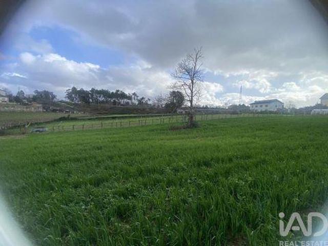 Moncao Viana Do Castelo 105313698