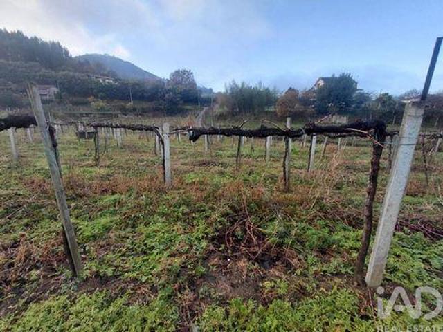Moncao Viana Do Castelo 105336285
