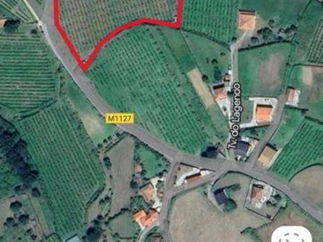 Moncao Viana Do Castelo 105336286