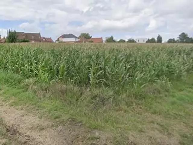 Moncheaux 59283 Programme neuf maison neuf à vendre 6 pièces