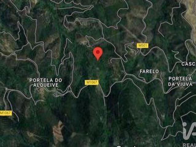 Monchique Faro LS103344250