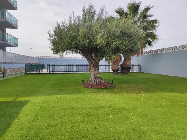 Moncofa
