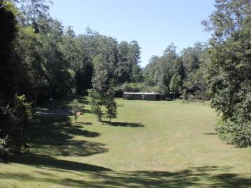 REDUCED TO SELL! Amazing Riverfront lifestyle! plus Harvestable Timber