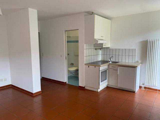 Monolocale Accogliente Al Piano Terra A Mendrisio – Disponibile Subito!