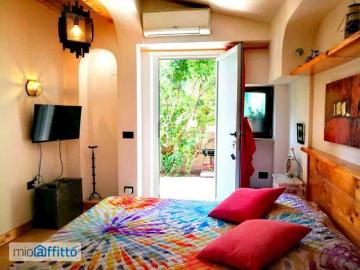 Monolocale arredato con terrazzo Trevignano Romano