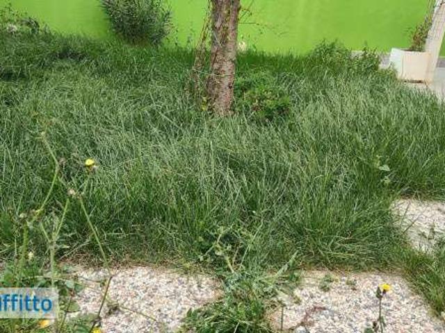 Monolocale arredato con terrazzo Zona domitilla
