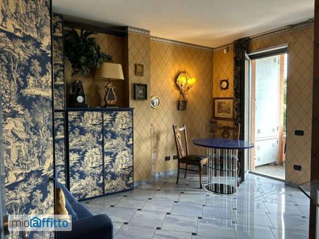 Monolocale arredato con terrazzo Aurora