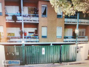 Monolocale arredato con terrazzo Giustiniana, olgiata, cesano