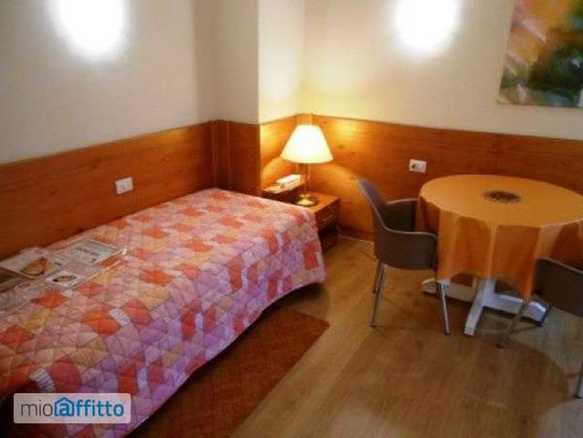 Monolocale arredato con terrazzo San salvario