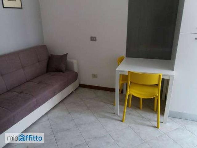 Monolocale arredato Piacenza