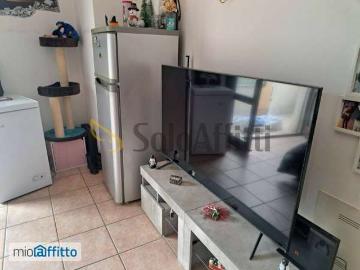 Monolocale arredato Rimini