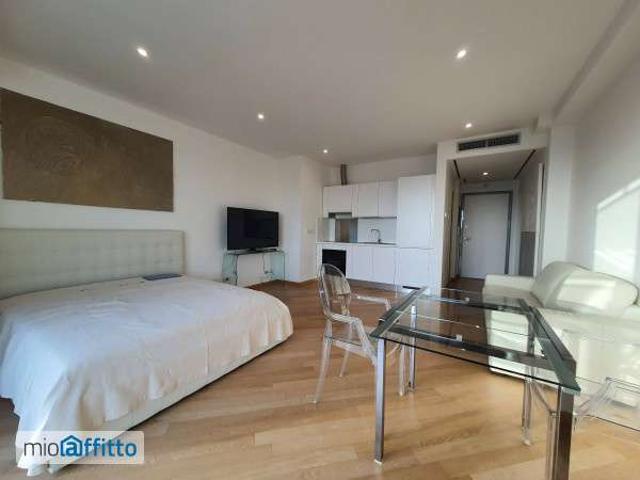 Monolocale con terrazzo Trieste, salario