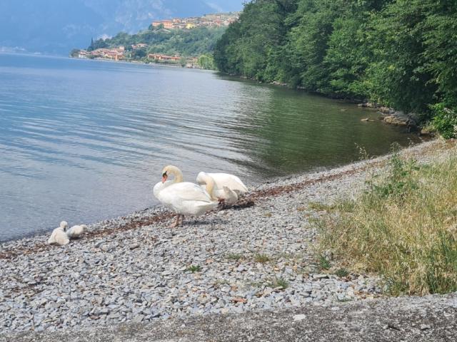 Monolocale con terrazzo a Monte Isola