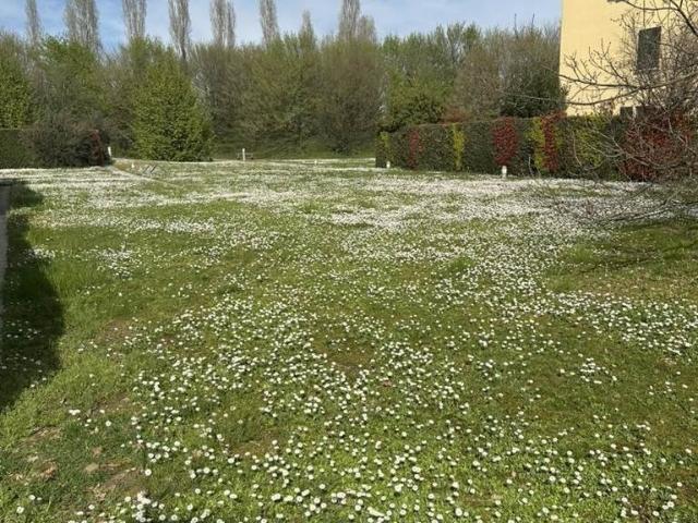 Monolocale in affitto a Vimercate