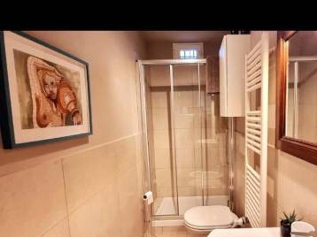 Monolocale in affitto a Firenze via Faentina, Cure