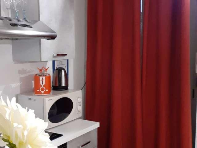 Monolocale in affitto a Cenisia, Torino