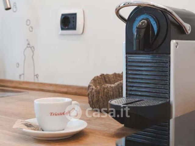 Monolocale in Affitto in Via degli Artisti 6 a Trieste
