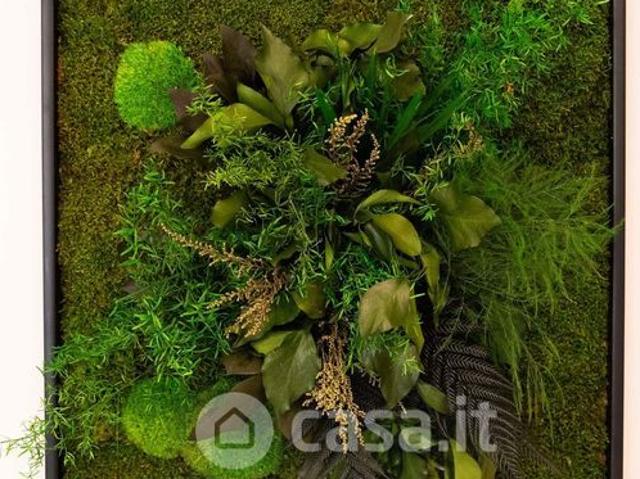 Monolocale in Affitto in Via Felice Casati 1 /A a Milano