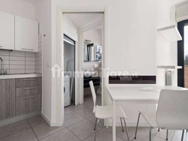 Monolocale via Carlo Cattaneo, 22, Sciarè, Gallarate