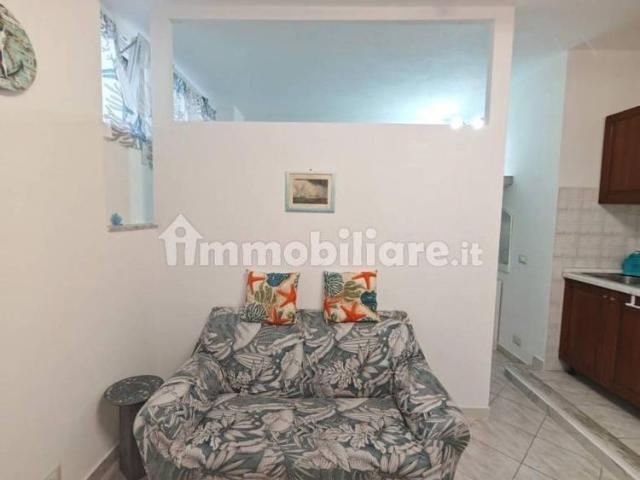 Monolocale viale Domenico Zaccagna, 54033, Avenza, Carrara
