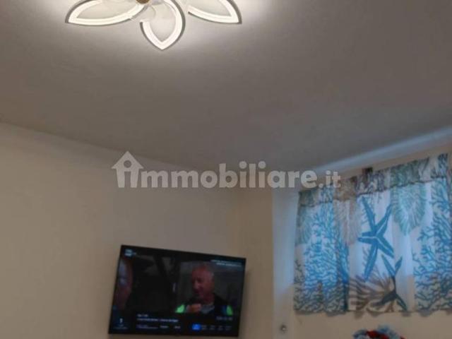 Monolocale viale Domenico Zaccagna, 54033, Avenza, Carrara