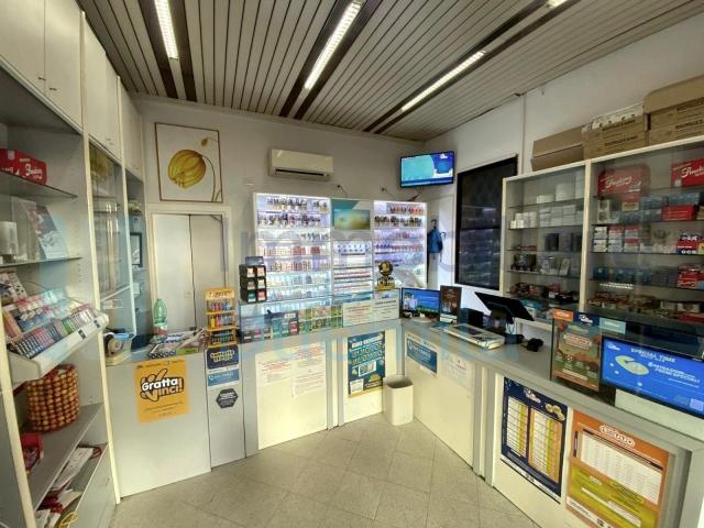 monolocale 26mq