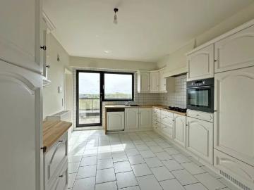 2640, Arrondissement de Anvers, Province de Anvers, Flandre