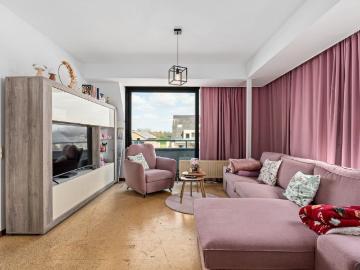 9290, Termonde, Flandre orientale, Flandre