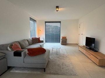8340, Arrondissement de Bruges, Flandre-Occidentale, Flandre