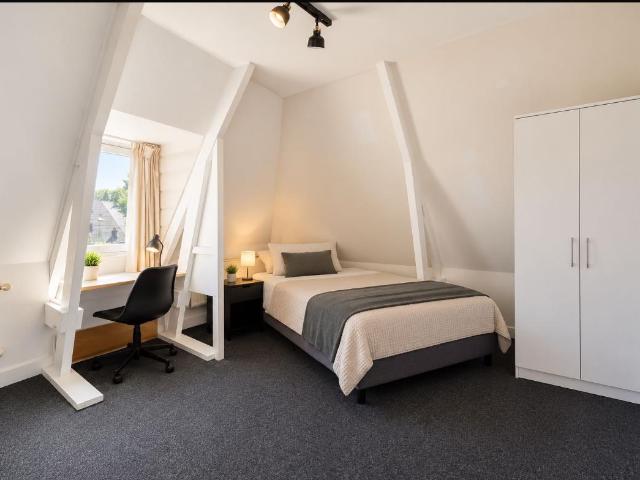 Mooie kamers beschikbaar in volledig gerenoveerde