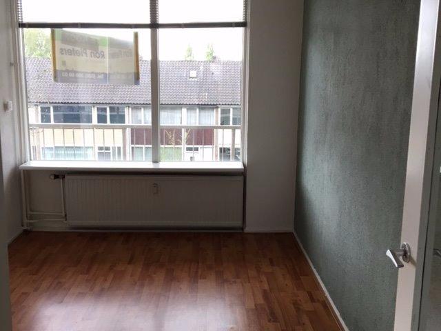 Mooie ruime kamer in Arnhem Presikhaaf