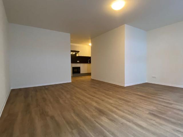 Mooie studio in het centrum!, Groningen