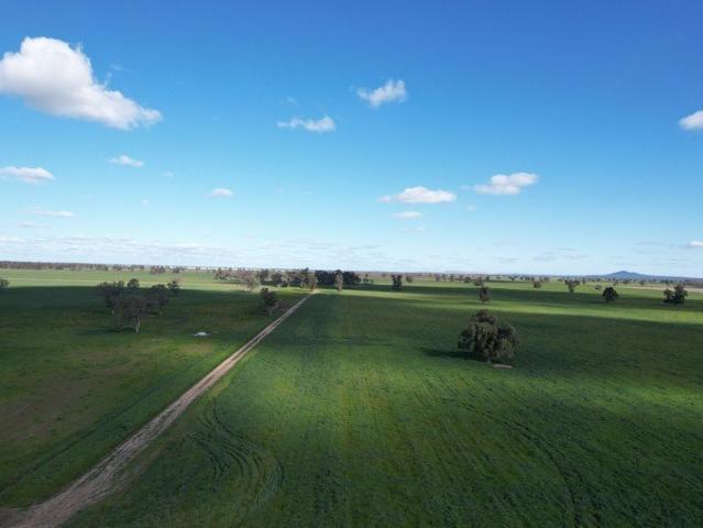 Moora Moora, Corinella, NSW
