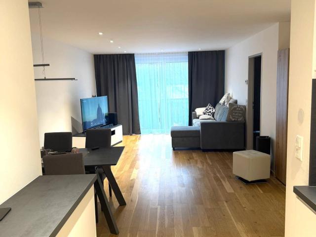 Möbelierte 2 Zimmer Wohnung,Parkplatz, nähe PMU