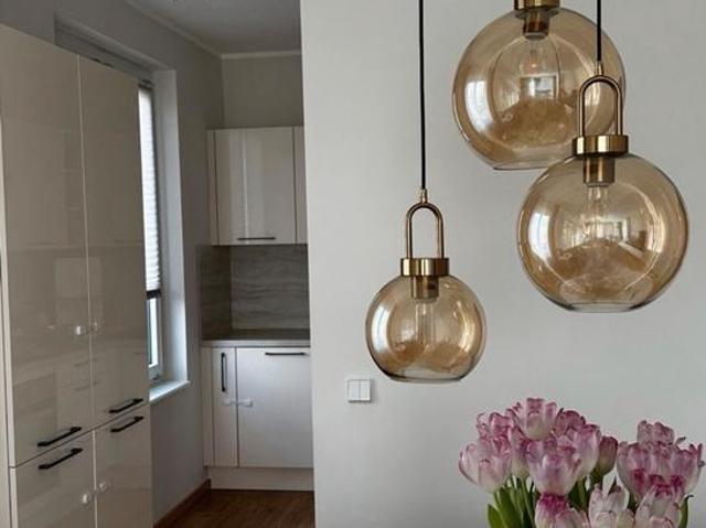 Möbilierte 3 Zimmer Wohnung, HWR und 2 Balkone untermiete