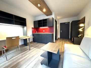 26502 HomeCompany Dresden Möbliert/Furnished Studio Apartment in Dresden Strehlen max. 1 Person